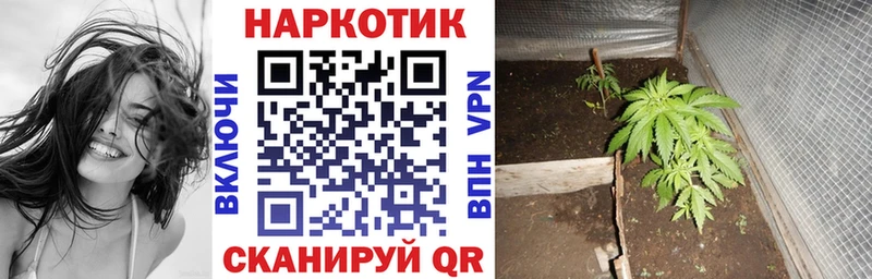 Купить наркотик аптеки Острогожск COCAIN  A-PVP  Канабис 
