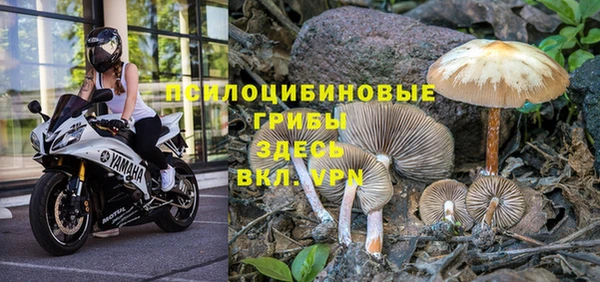 кокаин Арсеньев