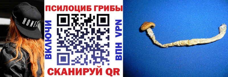 ссылка на мегу как войти  что такое   Острогожск  Галлюциногенные грибы мухоморы 